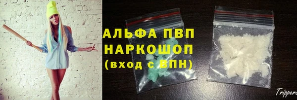 стафф Алексин
