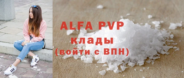 стафф Алексин