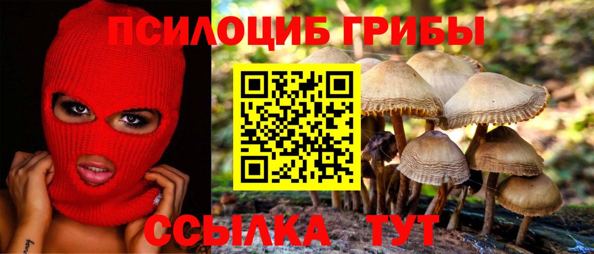 Галлюциногенные грибы прущие грибы Кимры