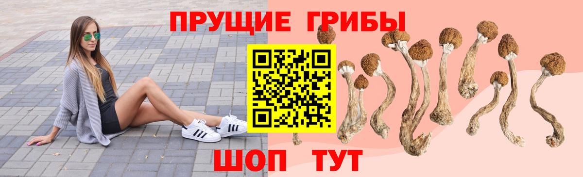 Кимры  Псилоцибиновые грибы мухоморы  Вход с VPN  Галлюциногенные грибы Psilocybe 